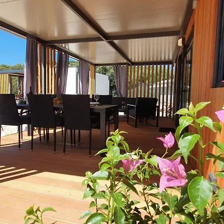 Beachfront Bliss - Vortex2vb *