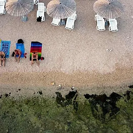 Beachfront Bliss - Vortex2vb